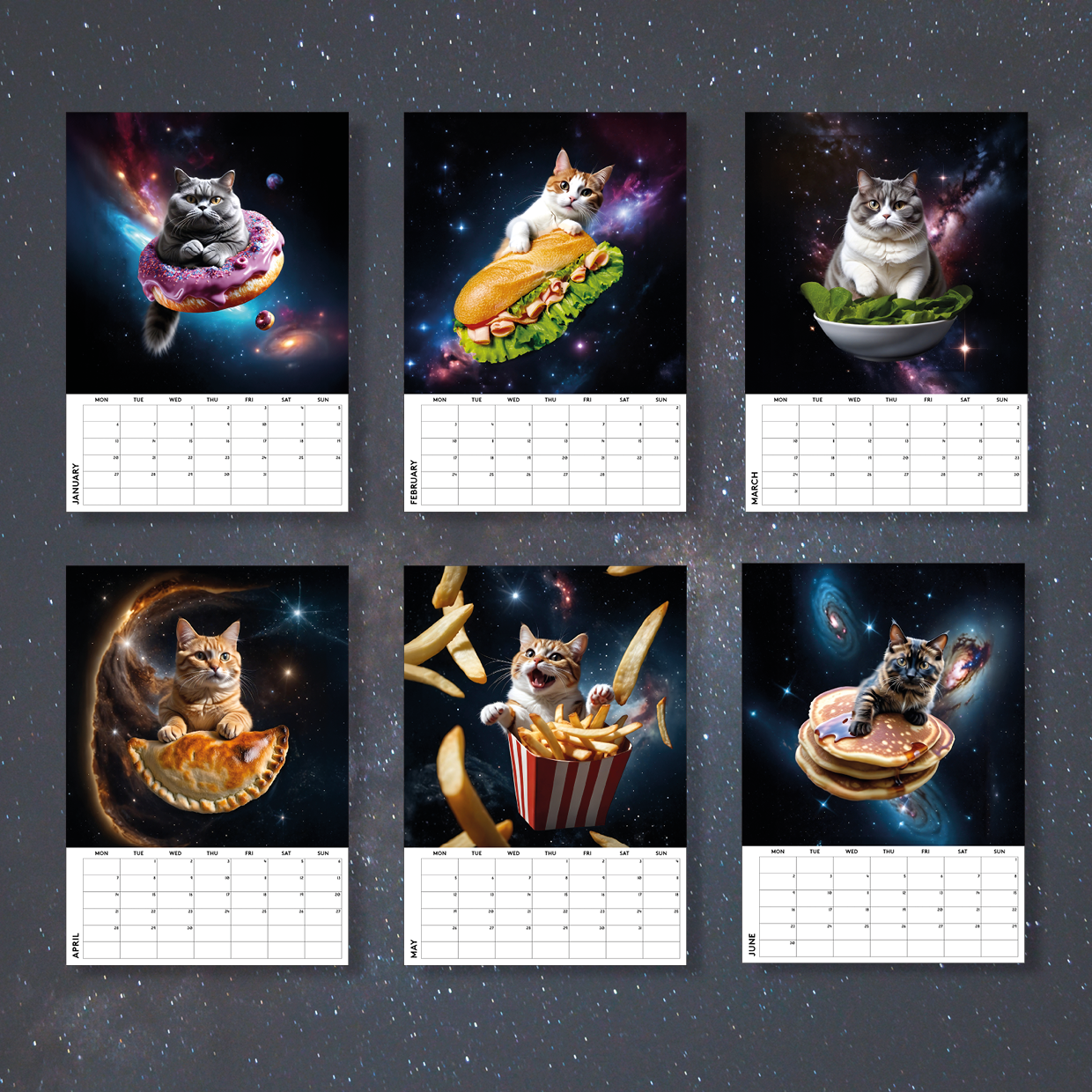 Cats and Food in Space 2025 Calendar – A Space Journey for Cat and Food Lovers!